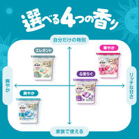 ボールド ジェルボール 4in1 フレッシュサボンの香り 本体 1セット（11粒入×6個） 洗濯洗剤 P＆G