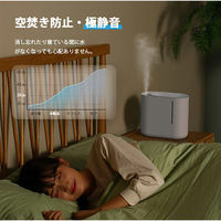 Your Shop 加湿器 4570072106994 1ケース(4個入)（直送品）