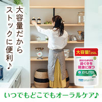 ガム キシリトール オーラテクトガム クリアミント 大容量パウチ 250g 1個