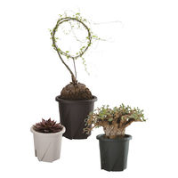 大和プラスチック 根はりポット 9型 4903266731694 1個（直送品）