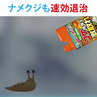 フマキラー コケ激取れ 1L 4902424453294 1本（直送品）