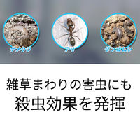 フマキラー 泡の除草王 1000ml 4902424453553 1本（直送品）