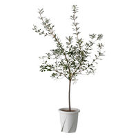 大和プラスチック 根はりポット 27型 4903266731861 1個（直送品）