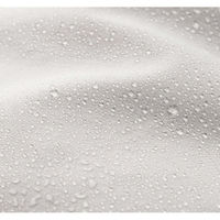 PGYTECH OneGo バッグ GR P-CB-410 1個（直送品）