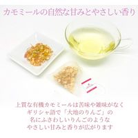 nagomi-NATULURE まるまるりんごのオーガニックフルーツハーブティー 1セット(3バッグ入×3)