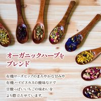 nagomi-NATULURE たっぷりいちごのフルーツハーブティー 1セット(3バッグ入×3)