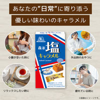 キャラメル 個包装 お配り菓子 塩キャラメル 12粒 1セット（1個×5）