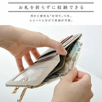 ディーエーピーネットワーク スリムミニウォレット コイン収納つきパスケース ベージュ bon033_BE 1個（直送品）