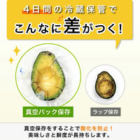 ディーエーピーネットワーク 繰り返し使える 真空保存袋 20枚セット monowa045 1S(20枚)（直送品）