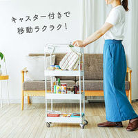 ディーエーピーネットワーク 幅18.5~27cm調整 ワイドチェンジストッカー(5段)ホワイト monowa082-wh 1台（直送品）