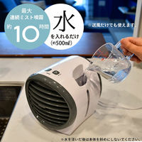 ディーエーピーネットワーク 冷風扇 卓上 ミスト機能 500mlタンク ホワイト wasser fan001 1台（直送品）