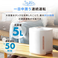 ディーエーピーネットワーク 5L大容量 加湿器 超音波式 ホワイト wasser hum007 1台（直送品）