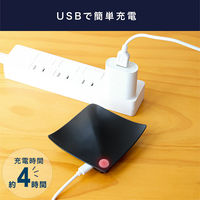 ディーエーピーネットワーク センサーライト 室内 人感センサー 足元灯(1個) wasser100_bk 1個（直送品）