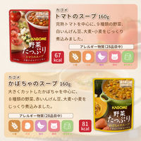 4種のおかずとスープセット 5年保存 非常食セット 惣菜 野菜スープ 保存食 防災食 HOTPLUS あったかフードボックス PEACEUP（直送品）