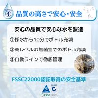 ペットの天然水 犬猫用 Vウォーター 国産 500ｍL 1セット（1本×20）アース・ペット