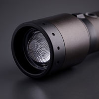 LED LENSER レッドレンザー P7R SIgnature 502190 1個