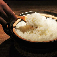 新潟県産 こしいぶき 5kg 【精白米】 令和7年産 米 お米