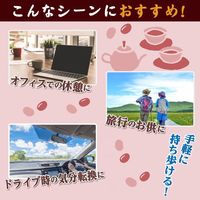 片手で食べられる小さなようかん 105g（15g×7本） 2個 井村屋 和菓子 羊羹