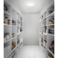 アイリスオーヤマ 小型シーリングライト 薄形 2000lm 昼光色 人感 SCL20D-MS-U2 1個（直送品）