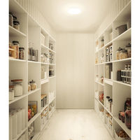 アイリスオーヤマ LED小型シーリングライト 薄形タイプ 2000lm 電球色 SCL20L-U2 1個（直送品）