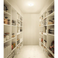 アイリスオーヤマ 小型シーリングライト 薄形 2000lm 電球色 人感 SCL20L-MS-U2 1個（直送品）