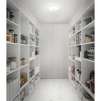 アイリスオーヤマ 小型シーリングライト 薄形 2000lm 昼白色 人感 SCL20N-MS-U2 1個（直送品）