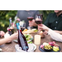 チリ　コノスル ピノ・ノワール ビシクレタ クールレッド 赤ワイン　ミディアムボディ　750ml 1セット（1本×4）　スマイル