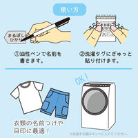 サンスター文具 タグに貼れるなまえシール/DC ディズニープリンセス 2342429A 1セット(1枚×10)（直送品）