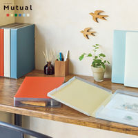リヒトラブ Mutual ファイルケース ファイル コピー用紙270枚収納 A4 テラコッタオレンジ A2029-4 1冊（直送品）
