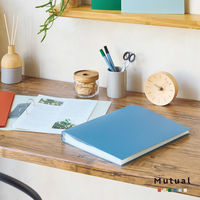 リヒトラブ Mutual クリヤーブック A4 60P ファイル 厚口ポケット スレートブルー N2402-11 1冊（直送品）