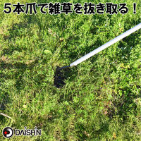 大進 草取りレーキ龍の爪 草刈り 草削り 道具 草取り 立ったまま DG-01R6 1本（直送品）