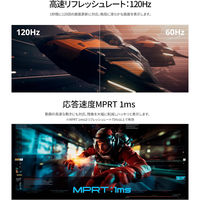 JAPANNEXT 21.5インチ 液晶ディスプレイ JN-215V120F 1台（直送品）