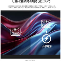 JAPANNEXT 15.6インチ ワイド モバイルディスプレイ JN-MD-IPS156F3 1台（直送品）