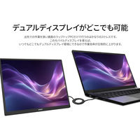 JAPANNEXT 18.5インチ ワイド モバイルディスプレイ JN-MD-IPS185F 1台（直送品）