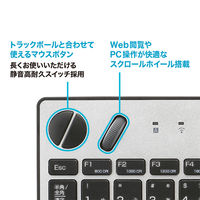 ナカバヤシ 無線 トラックボール搭載キーボード シルバー FKB-R252SL 1個（直送品）