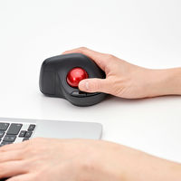 ナカバヤシ 無線静音 エルゴノミクストラックボールマウス 5ボタン 光学式 ブラック MUS-TRKF248BK 1個（直送品）