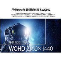 JAPANNEXT 27インチ ワイド液晶ディスプレイ JN-I27Q2 1台（直送品）
