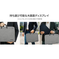 JAPANNEXT 21.5インチ ワイド モバイルディスプレイ JN-MD-V215F-N 1台（直送品）