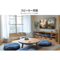 JAPANNEXT 60インチ ワイド 4K液晶ディスプレイ JN-V60U-M 1台（直送品）