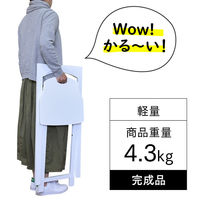 タマリビング ボーナス フォールディングチェア ボーナス ブラック 1脚（直送品）