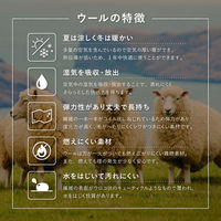 萩原 ギャッベ チェアパッド GABBEH TX 約40×40cm 270104010 1枚（直送品）