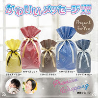 エスパック フロストリボン付ギフトバッグFORYOU M 20枚入 ネイビー FH-MN-AS 1袋(20枚入)（直送品）