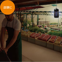 大進 ムシコロ 電撃殺虫器 DS-054LED 1台（直送品）