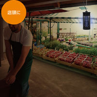 大進 ムシコロ 電撃殺虫器 DS-056LED 1台（直送品）