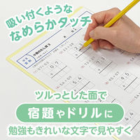 共栄プラスチック 軟質 下敷き 透明カラーのしっかりシタ字キ A4 パイン TCS-A4-PI 1セット(1枚×2)（直送品）