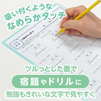 共栄プラスチック 軟質 下敷き 透明カラーのしっかりシタ字キ A4 青りんご TCS-A4-AO 1セット(1枚×2)（直送品）