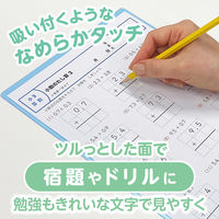 共栄プラスチック 軟質 下敷き 透明カラーのしっかりシタ字キ A4 ソーダ TCS-A4-SO 1セット(1枚×2)（直送品）
