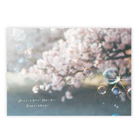 学研ステイフル メッセージブック Thank You 感謝 もなみん ソーダ 封筒付 E10084 1冊（直送品）