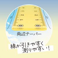 共栄プラスチック そら色じょうぎ 17cm SO-17-02 1本（直送品）