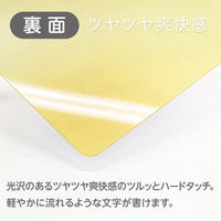 共栄プラスチック そら色したじき A4 SO-A4-02 1枚（直送品）